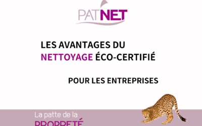 Les avantages du nettoyage éco-certifié pour votre entreprise (35)