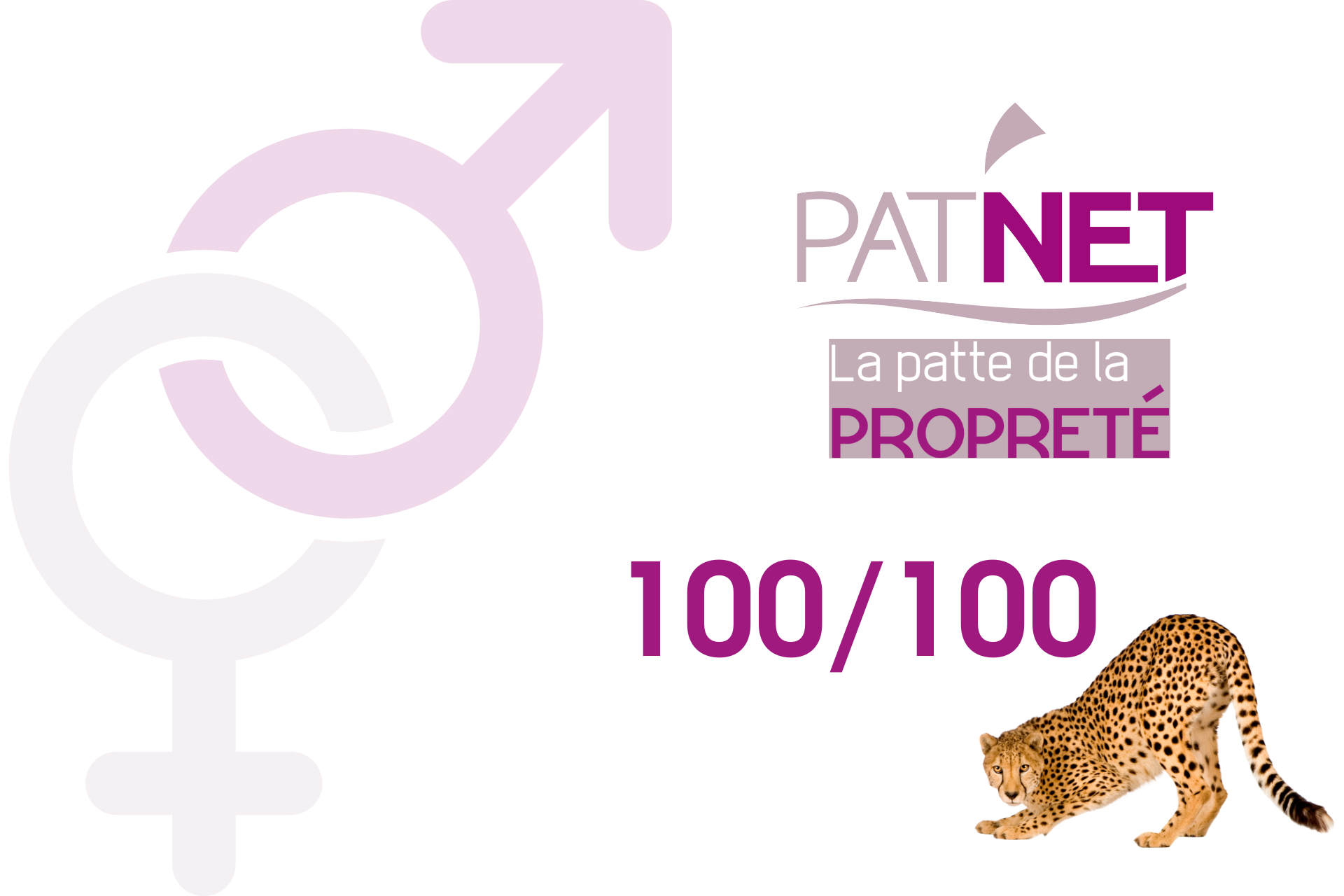 Patnet (35) index égalité hommes femmes