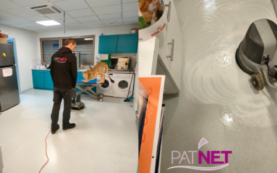 Pat’Net (35) signe un partenariat avec une clinique vétérinaire pour son nettoyage professionnel à Rennes en Bretagne