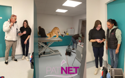 L’intégration et la formation des nouveaux salariés chez Pat’Net (35)