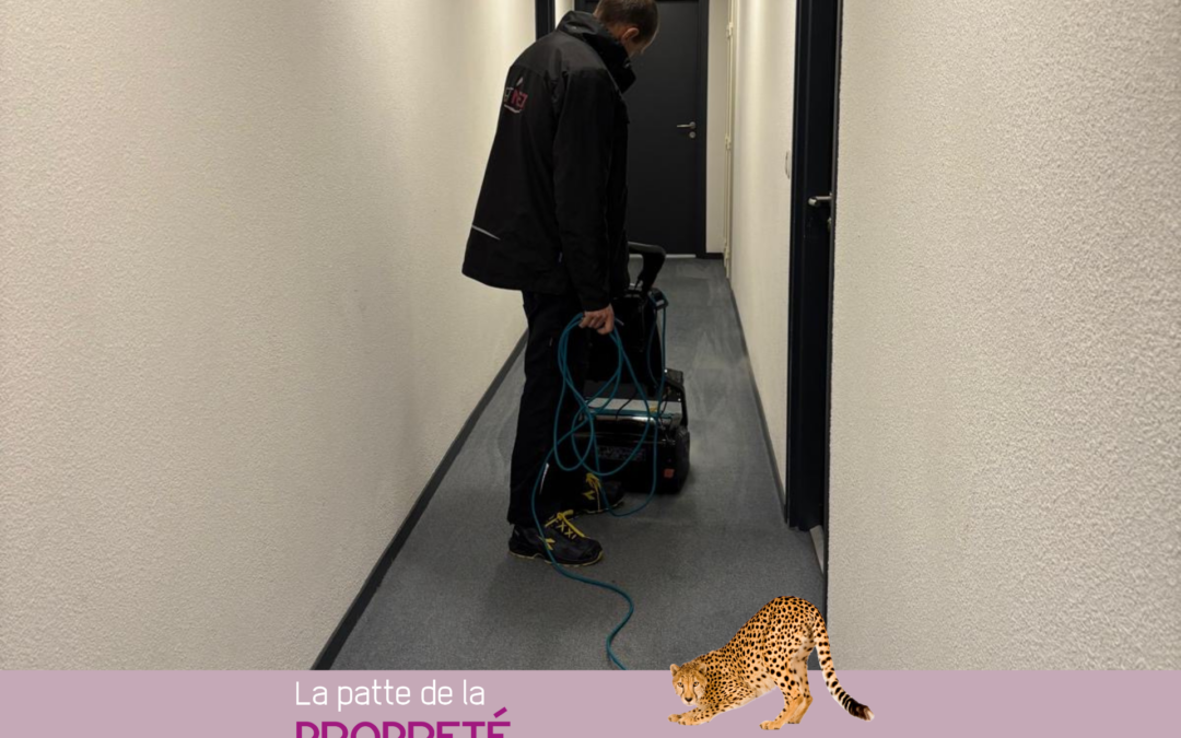 Nettoyage moquette et tapis par shampooing moquette