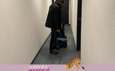 Nettoyage moquette et tapis par shampooing moquette